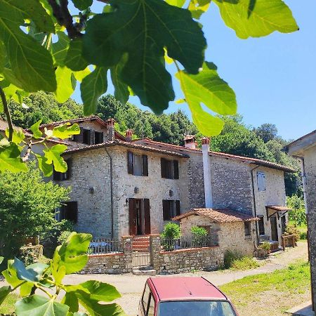 Cara House Tuscany - Zona Lucca Chiatri エクステリア 写真