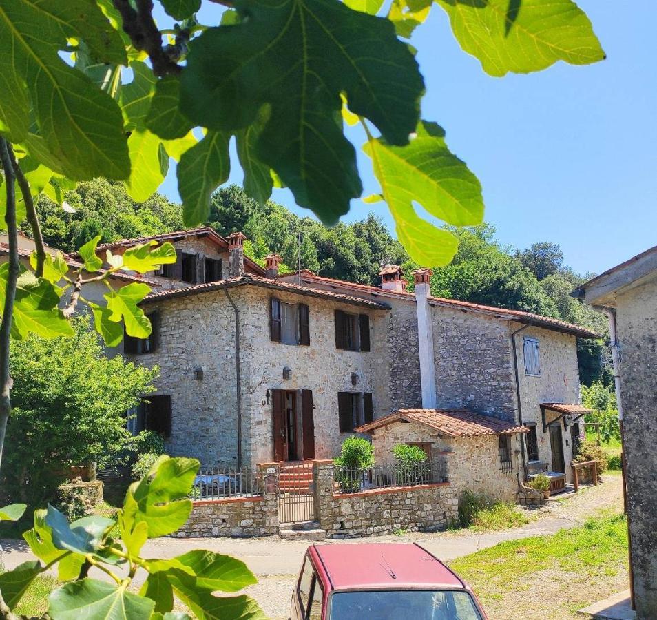 Cara House Tuscany - Zona Lucca Chiatri エクステリア 写真