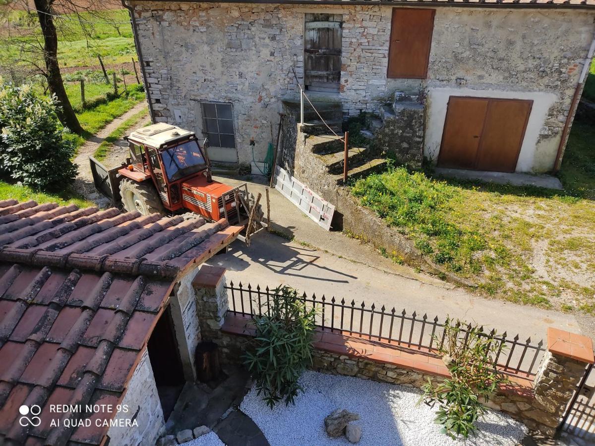 Cara House Tuscany - Zona Lucca Chiatri エクステリア 写真