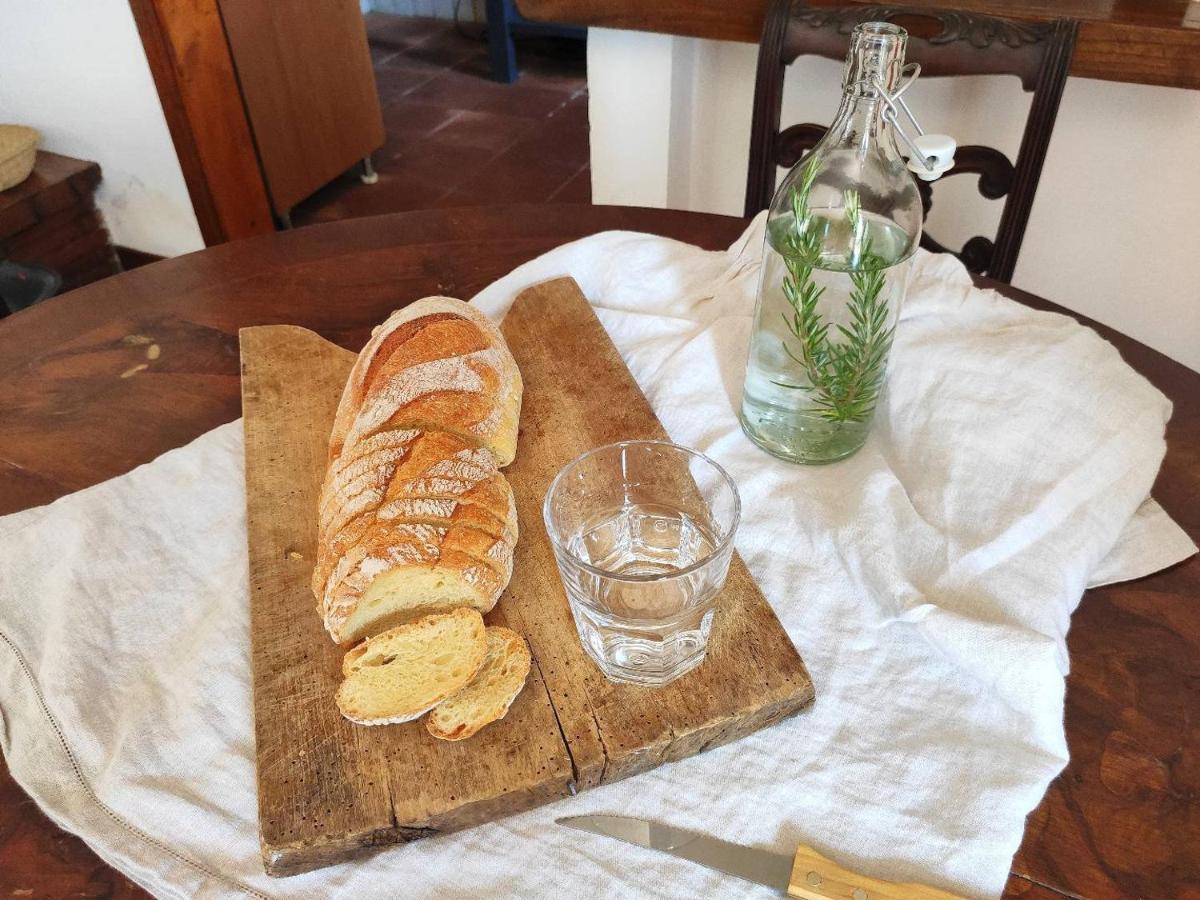 Cara House Tuscany - Zona Lucca Chiatri エクステリア 写真